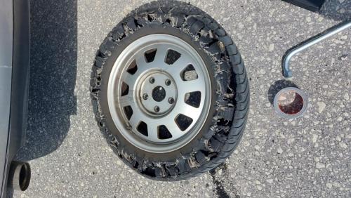 IMG-20230425-WA0021