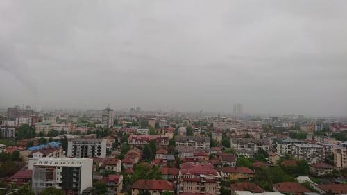 DSC 1906
